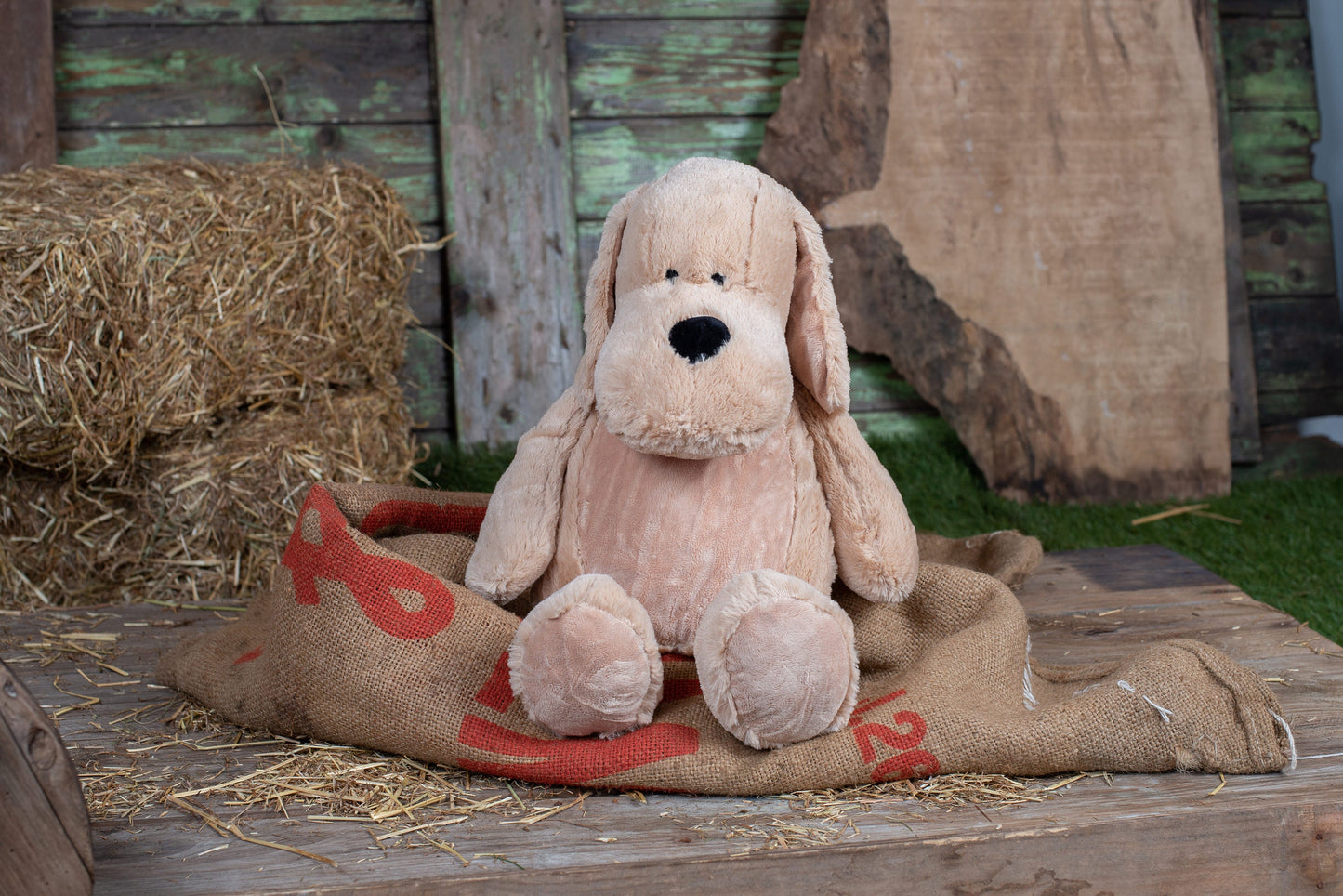 Mumbles Dog Teddy Bear With Personalised Customisable T-Shirt - Add Any Photo/Design/Text