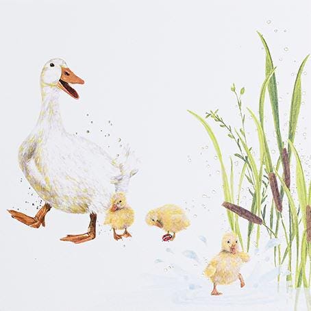 Ducks Blank Greeting Card