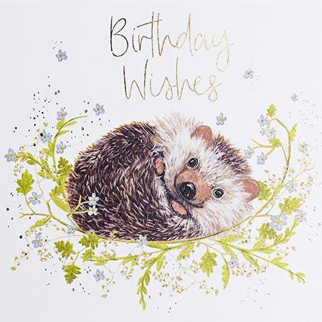 Hedgehog Blank Birthday Greeting Card