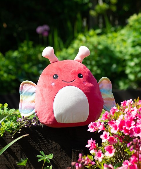 Squishable Butterfly Personlised message can be printed on fount